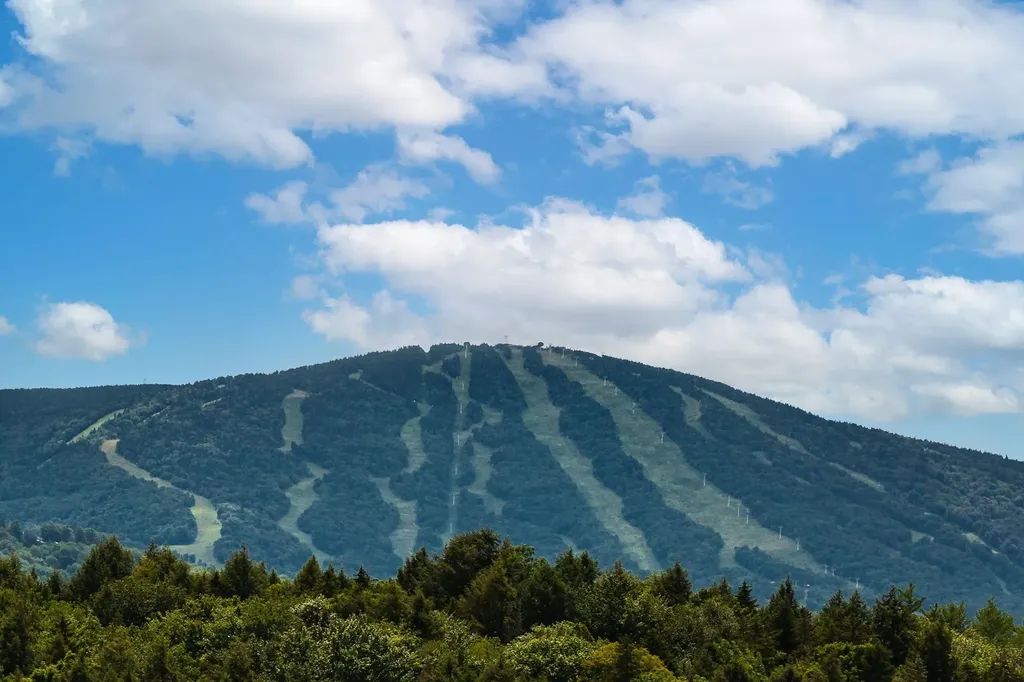 13 Winhall Station Road Londonderry VT 05155