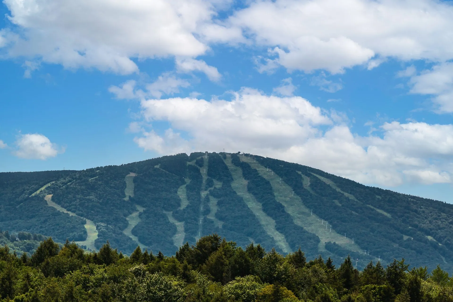 13 Winhall Station Road Londonderry VT 05155