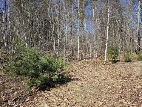 26 Forest Road Troy NH 03465