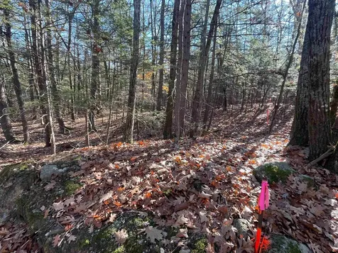 Lot 70-86 Tuckaway Shores Road Nottingham NH 03290
