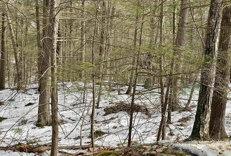 Lot 70-86 Tuckaway Shores Road Nottingham NH 03290