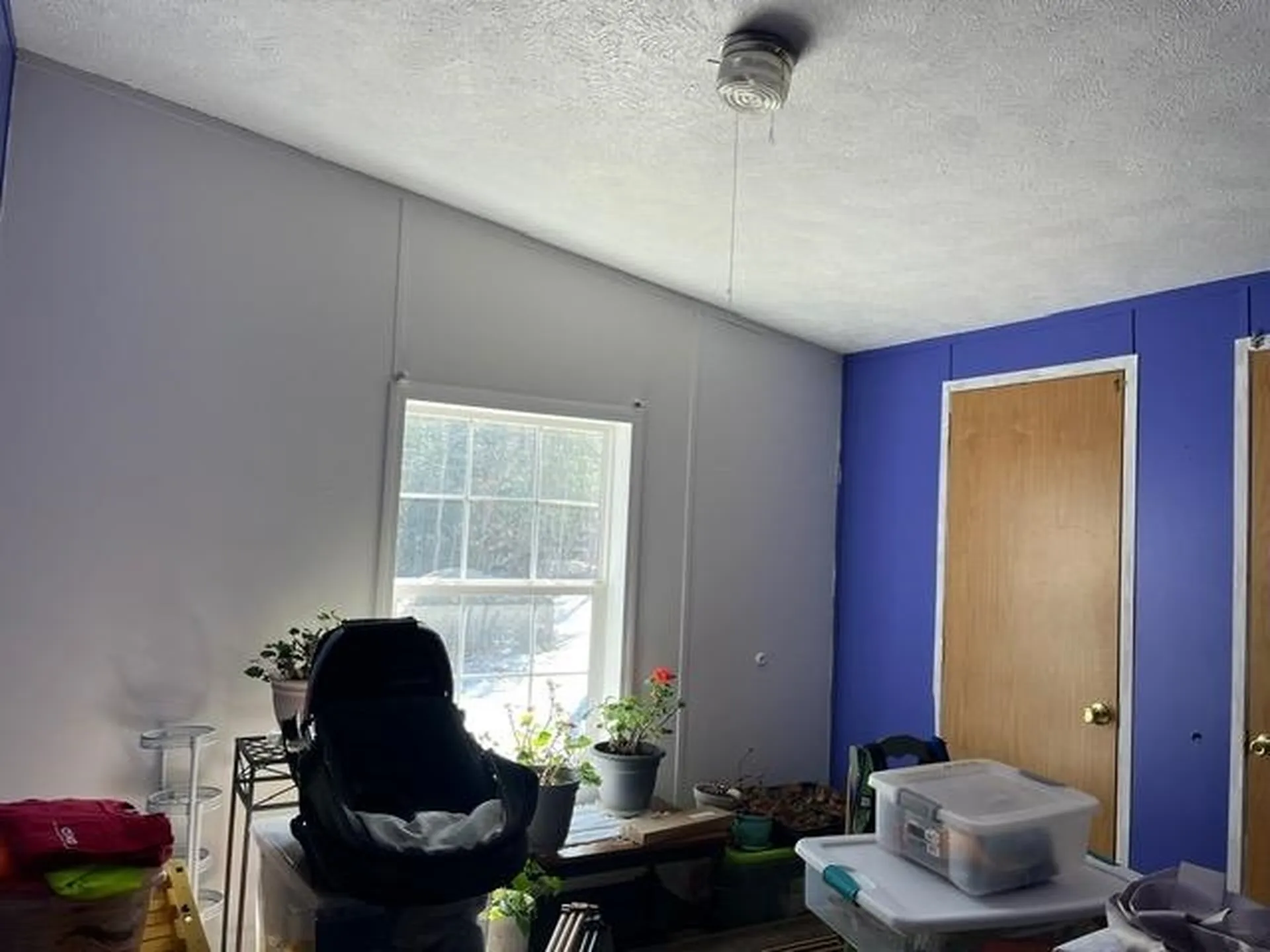 2681 Elmore Pond Road Wolcott VT 05680