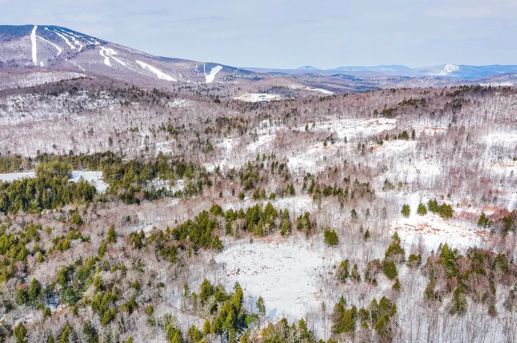 585 Pleasant Valley Road Jamaica VT 05343