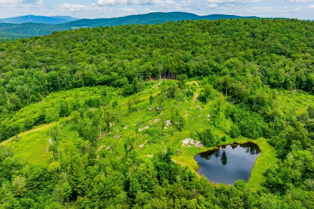 585 Pleasant Valley Road Jamaica VT 05343