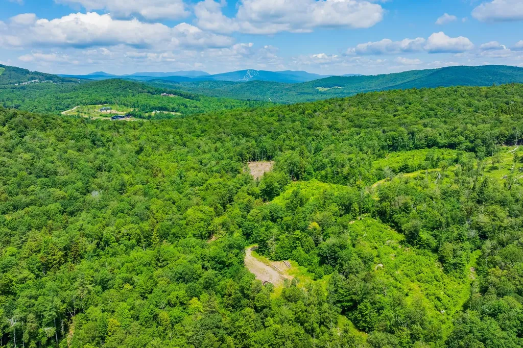 585 Pleasant Valley Road Jamaica VT 05343