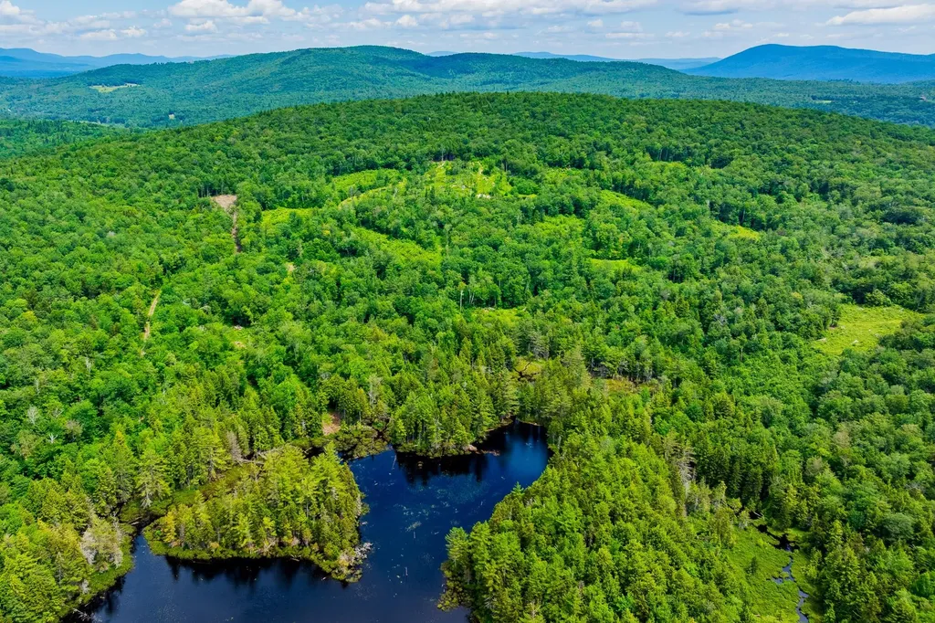 585 Pleasant Valley Road Jamaica VT 05343