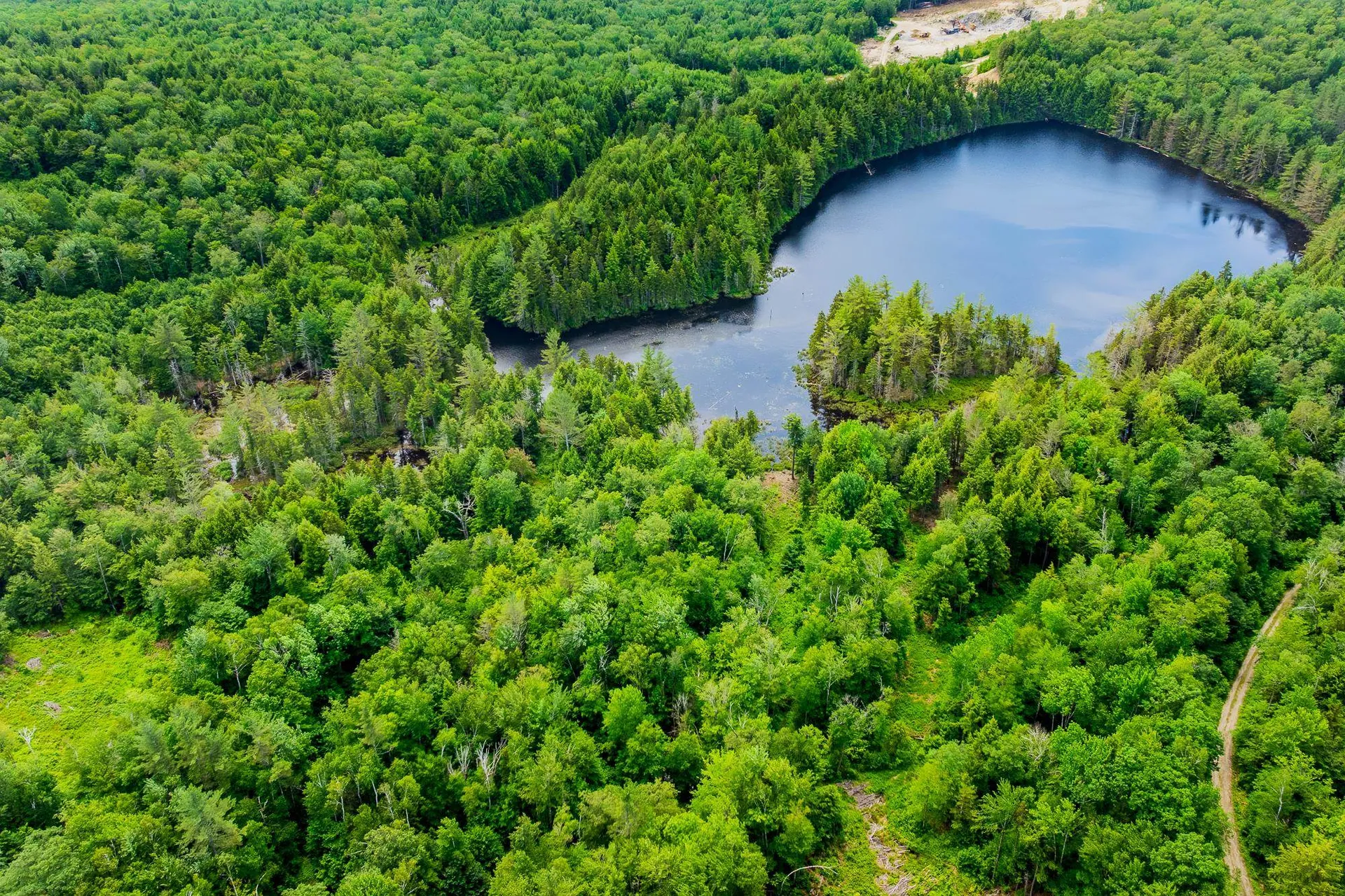 585 Pleasant Valley Road Jamaica VT 05343