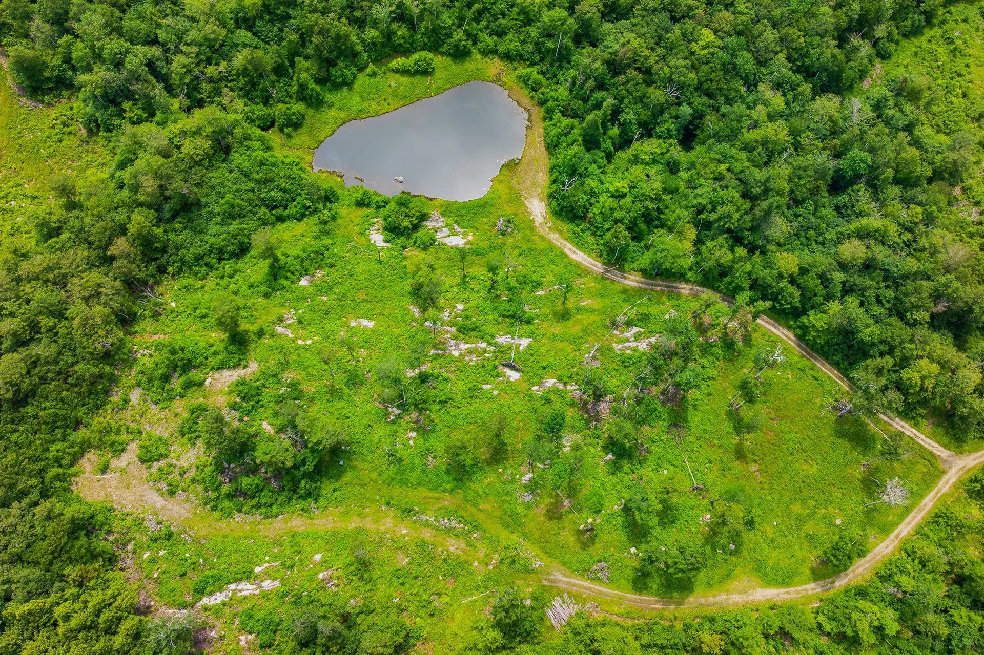 585 Pleasant Valley Road Jamaica VT 05343