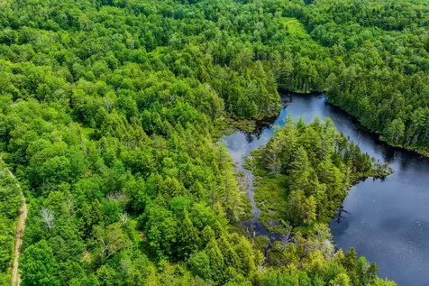 585 Pleasant Valley Road Jamaica VT 05343