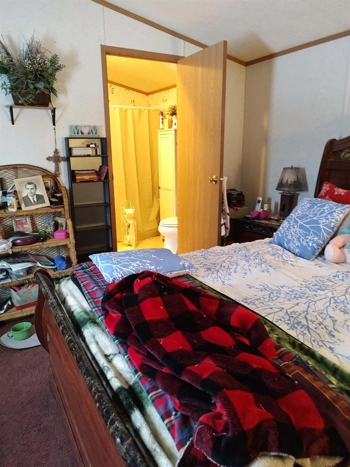 110 Fogey Street Braintree VT 05060