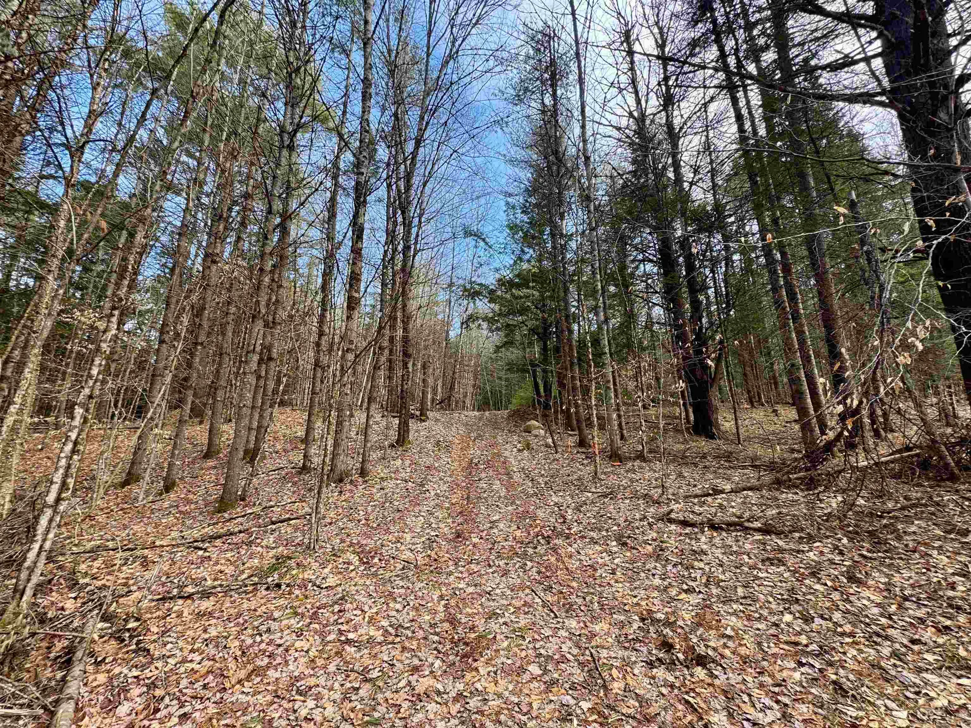 00 Quint Road Ryegate VT 05042