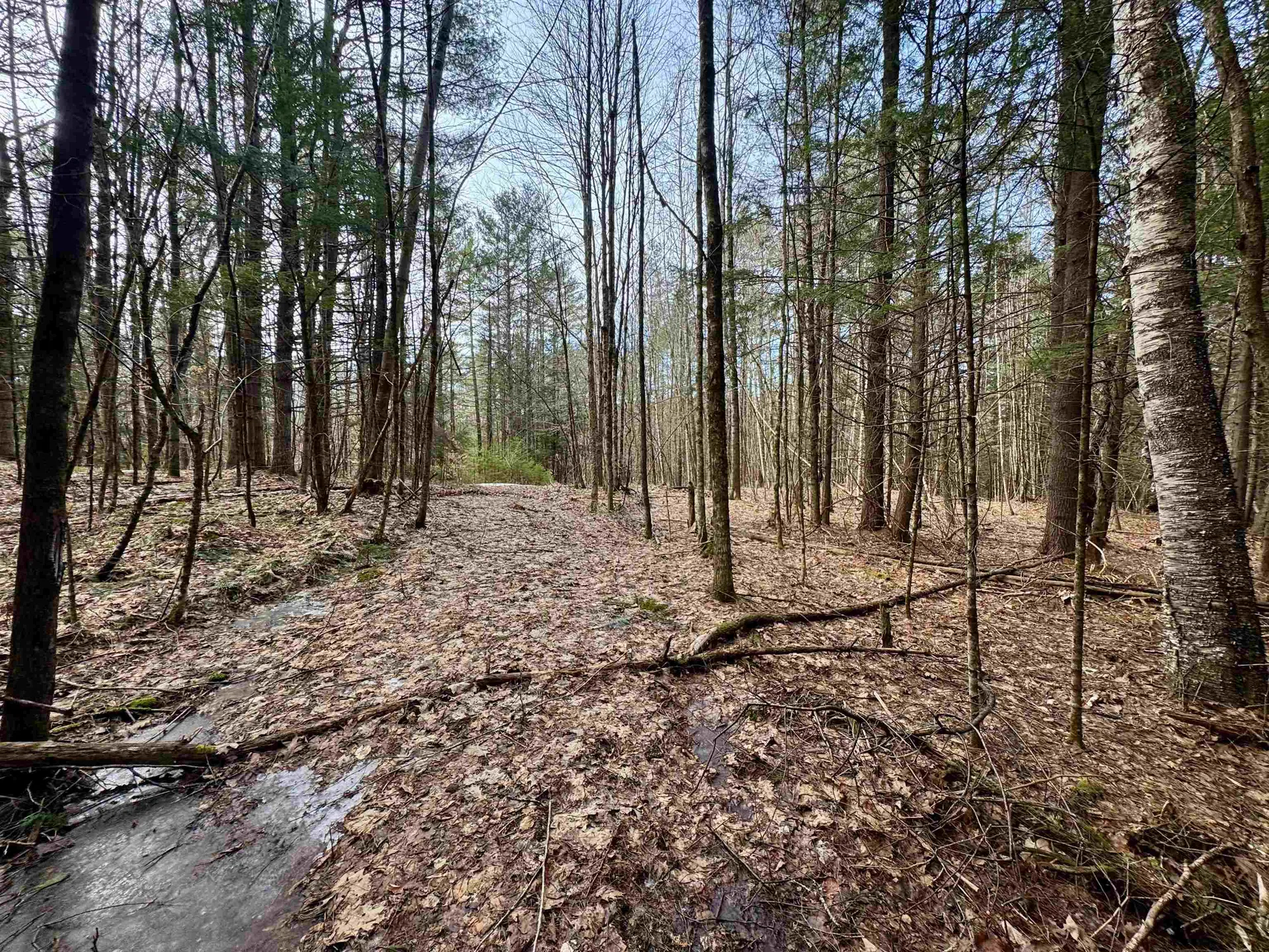 00 Quint Road Ryegate VT 05042