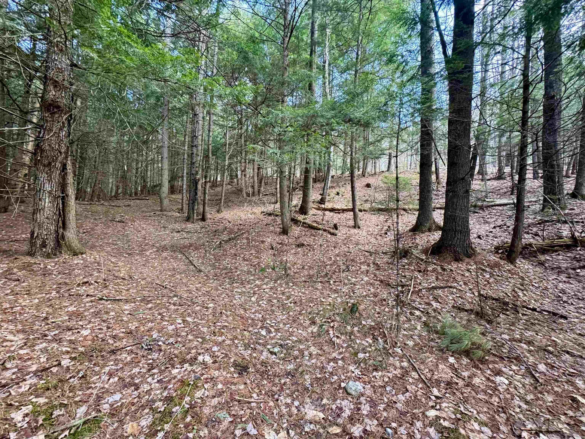 00 Quint Road Ryegate VT 05042