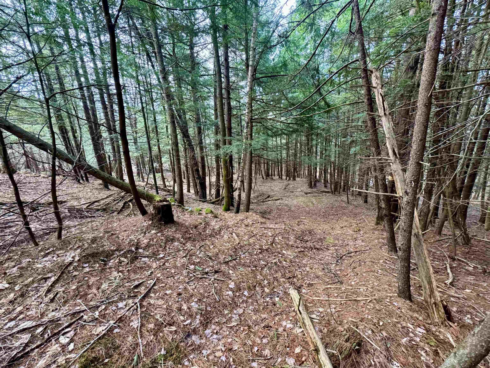 00 Quint Road Ryegate VT 05042