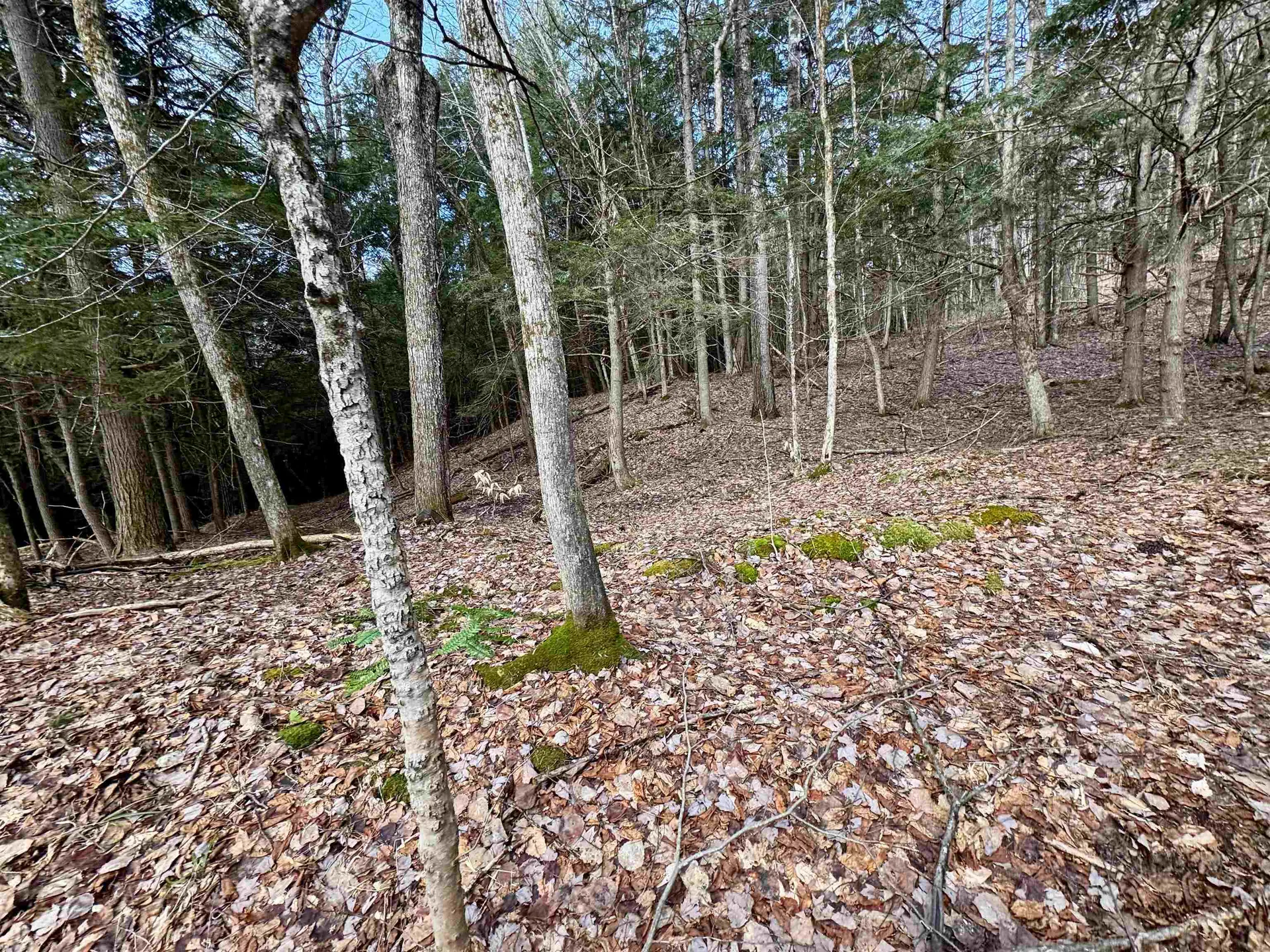 00 Quint Road Ryegate VT 05042