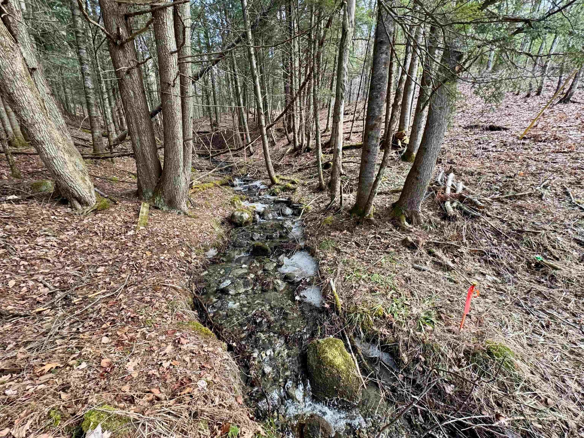 00 Quint Road Ryegate VT 05042