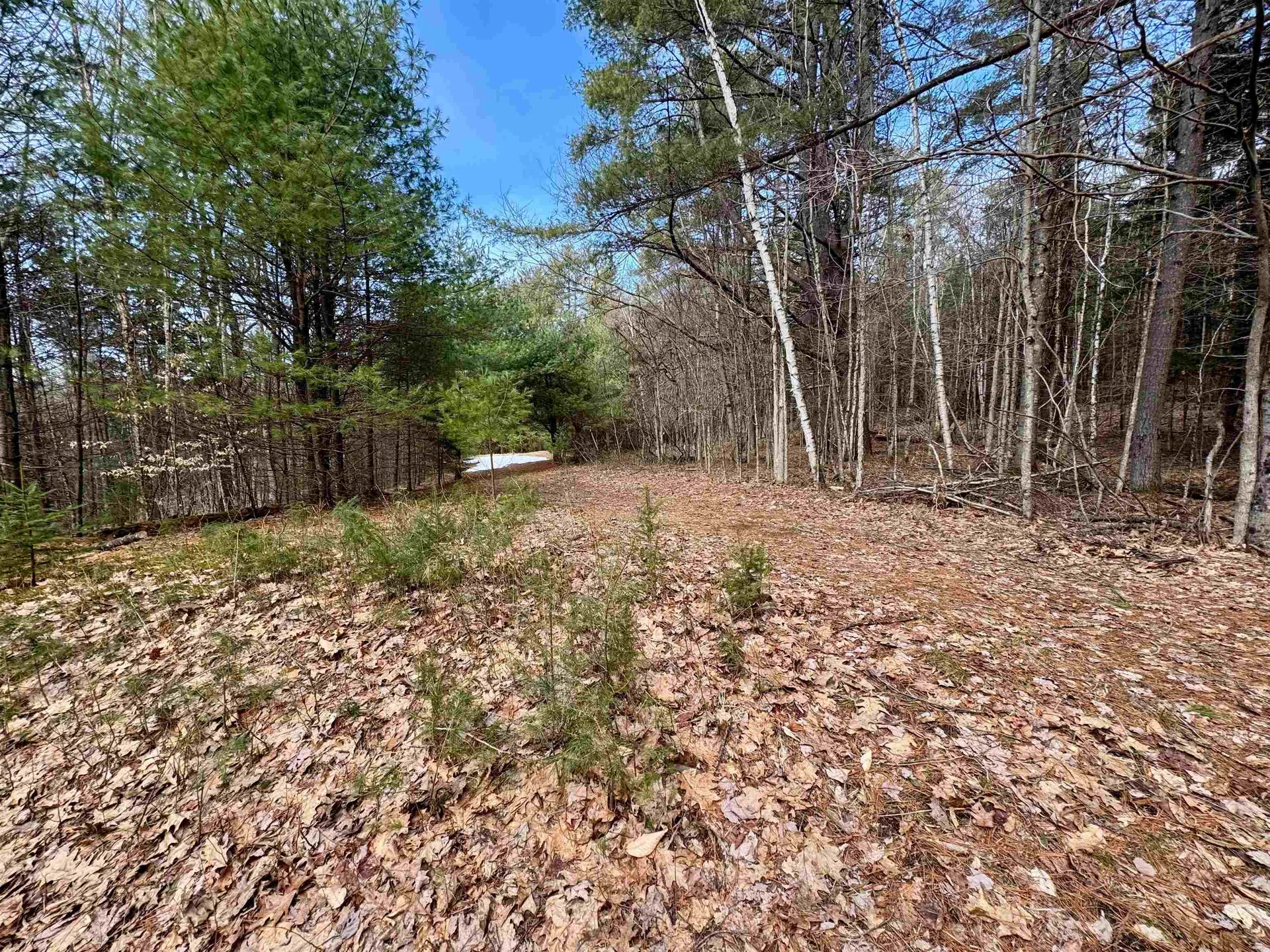 00 Quint Road Ryegate VT 05042