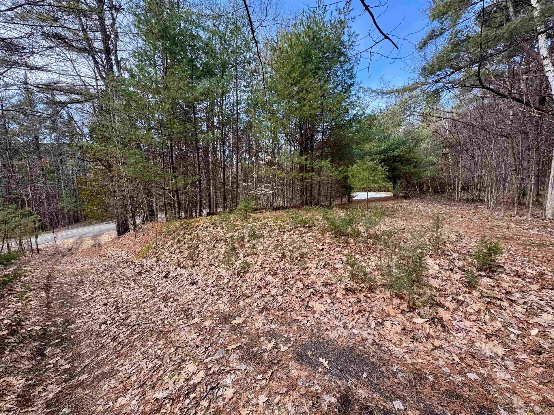 00 Quint Road Ryegate VT 05042