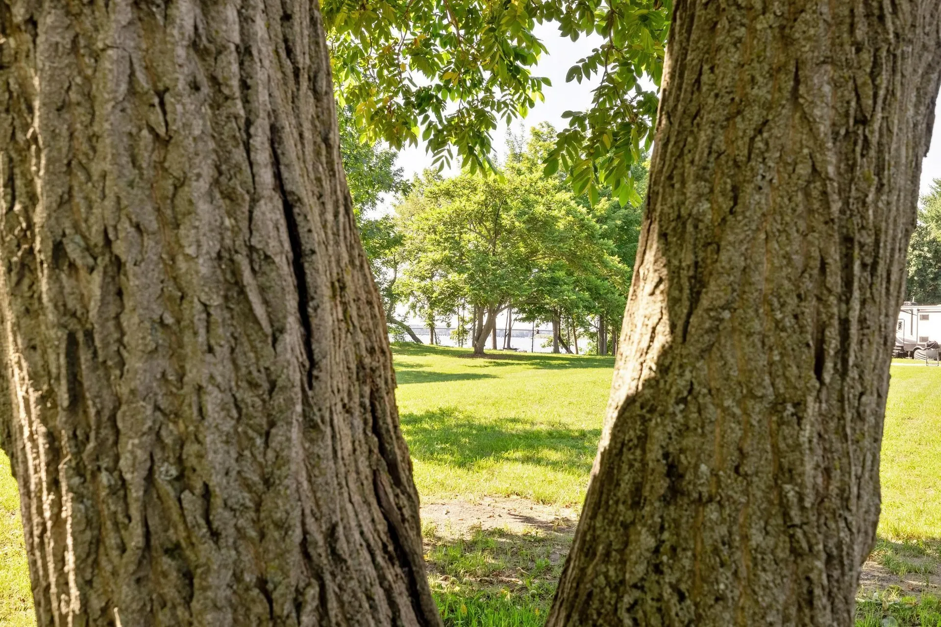 980 Alburg Springs Road Alburgh VT 05440