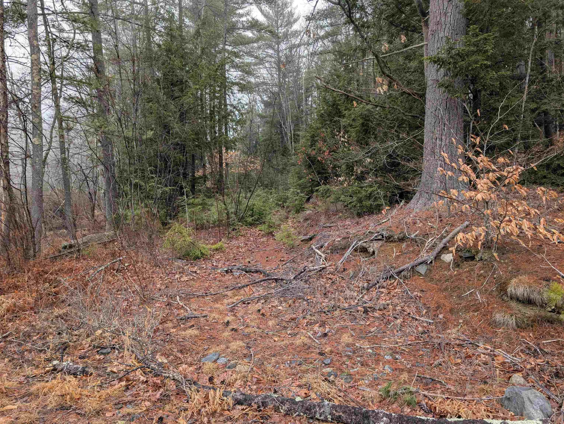 005-003 Greenfield Road Francestown NH 03043