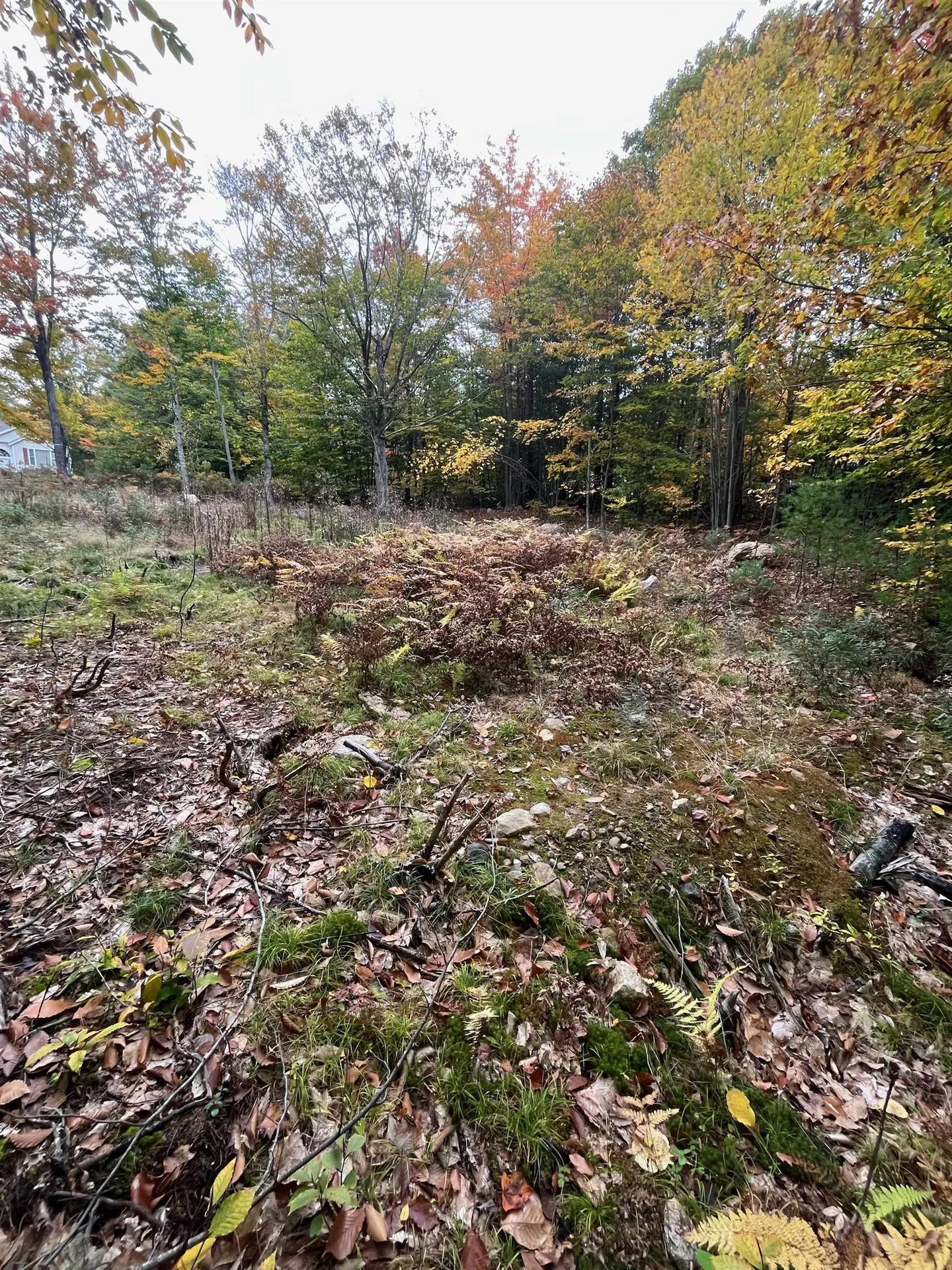 Lot 14 Daniel Drive Wakefield NH 03830