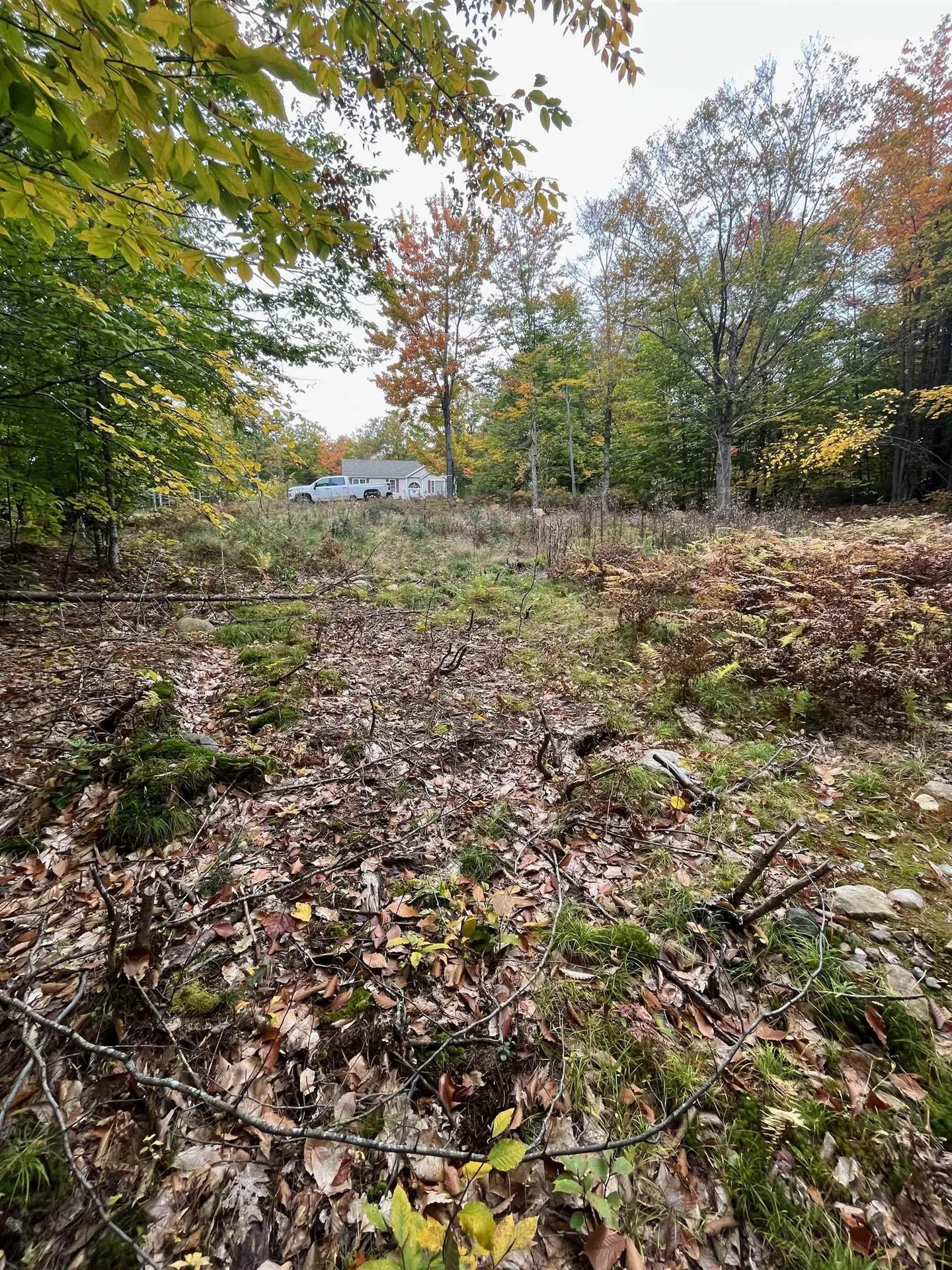 Lot 14 Daniel Drive Wakefield NH 03830