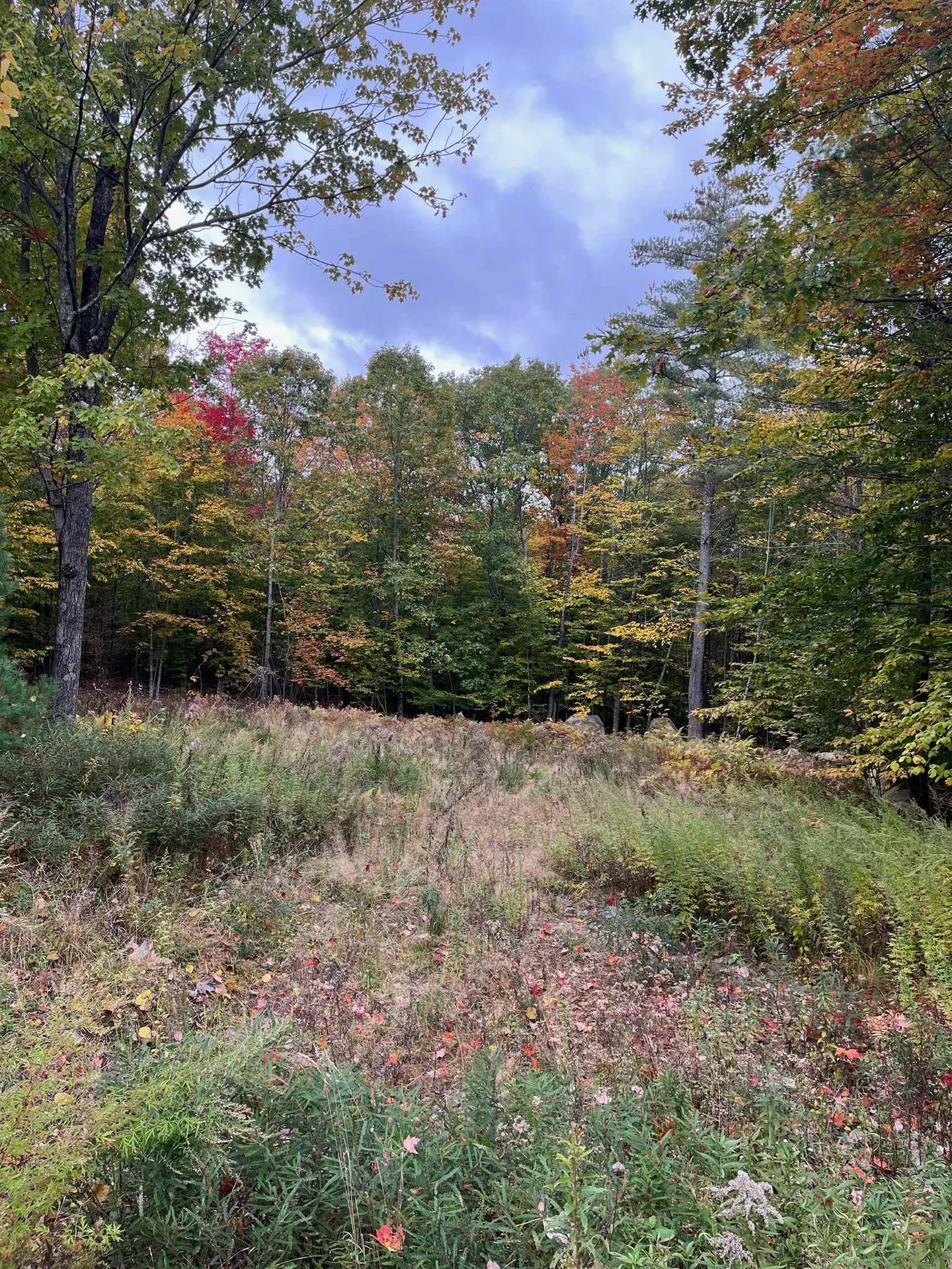 Lot 12 Daniel Drive Wakefield NH 03830