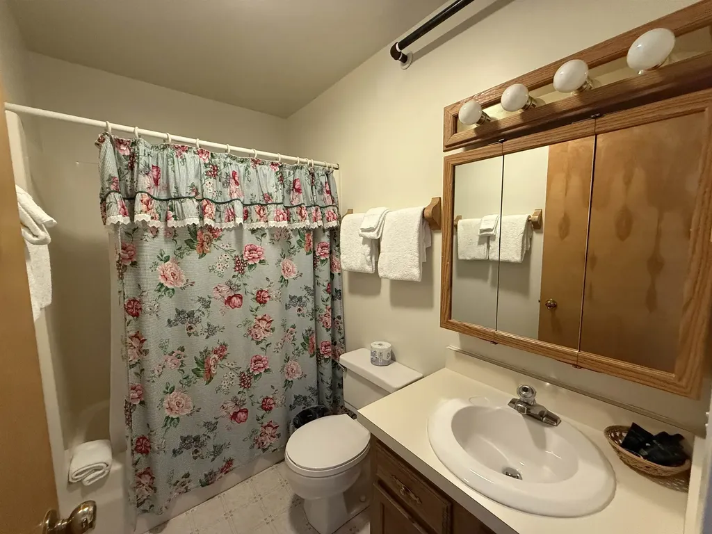 161 Mountainside Drive Warren VT 05674