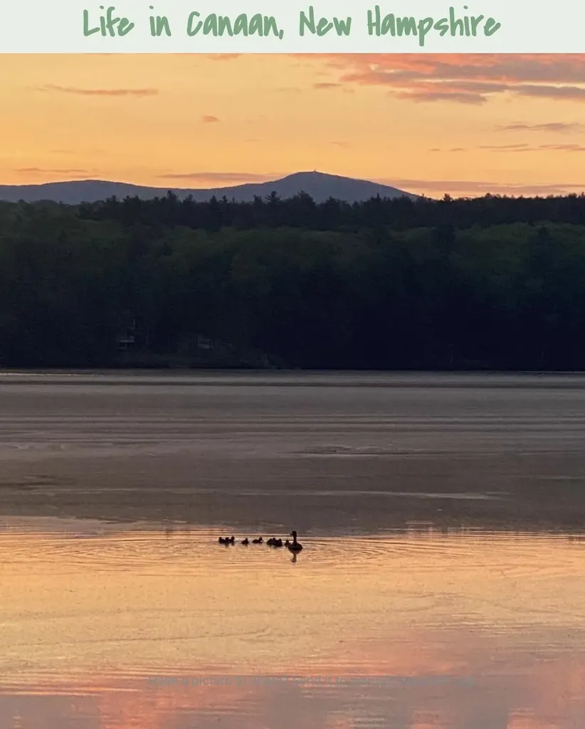 17-59 Fernwood Farms Road Canaan NH 03741