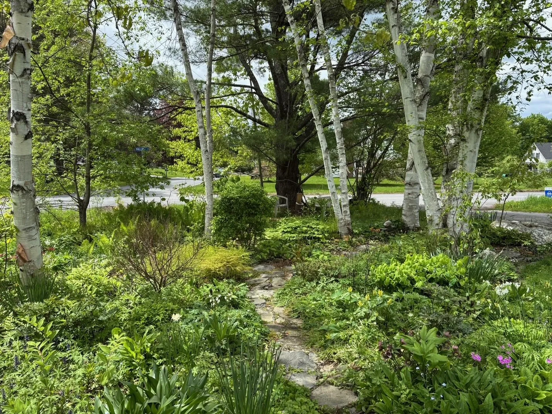 19 Phillips Road Montpelier VT 05602