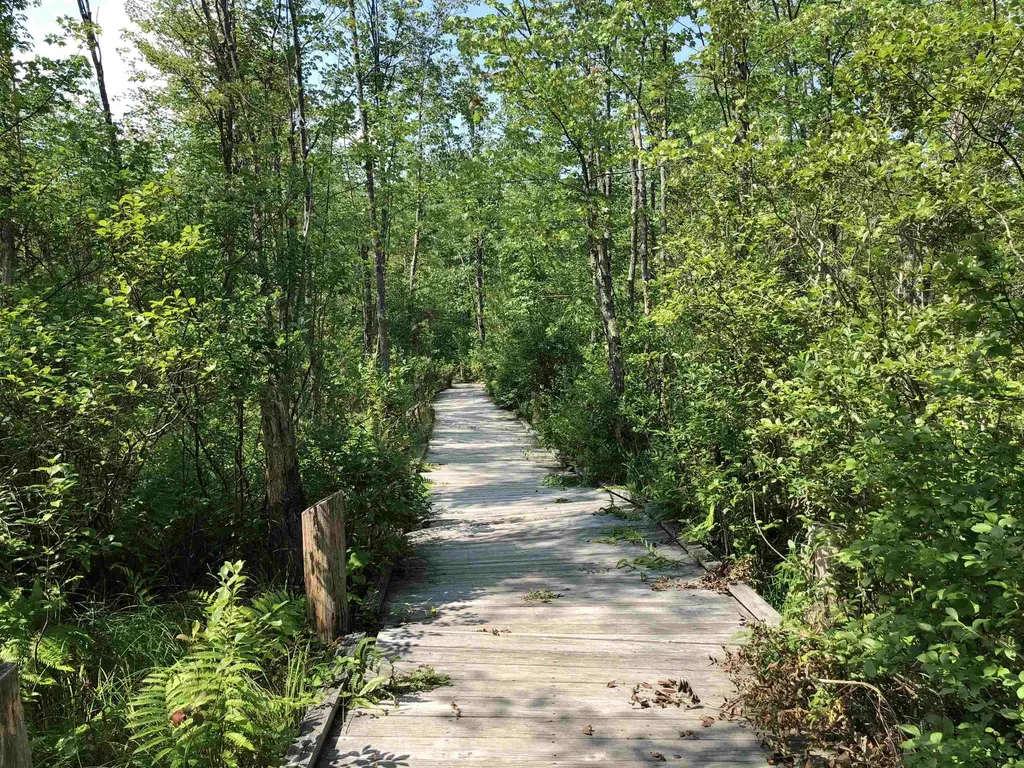 6,8,10,12 & 27 Sugarloaf Drive Ossipee NH 03814