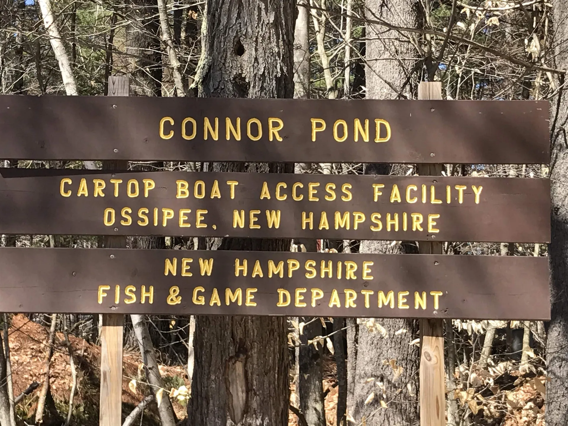 6,8,10,12 & 27 Sugarloaf Drive Ossipee NH 03814