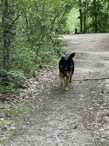 6,8,10,12 & 27 Sugarloaf Drive Ossipee NH 03814