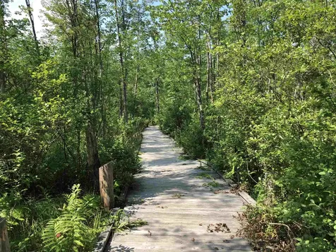 6,8,10,12 & 27 Sugarloaf Drive Ossipee NH 03814