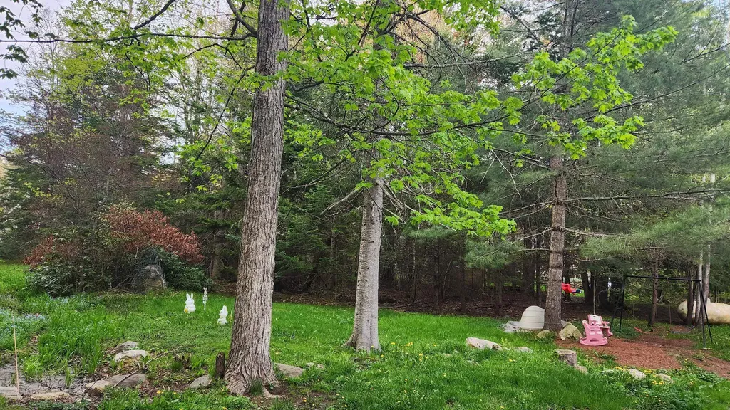 343 Haystack Road Wilmington VT 05363