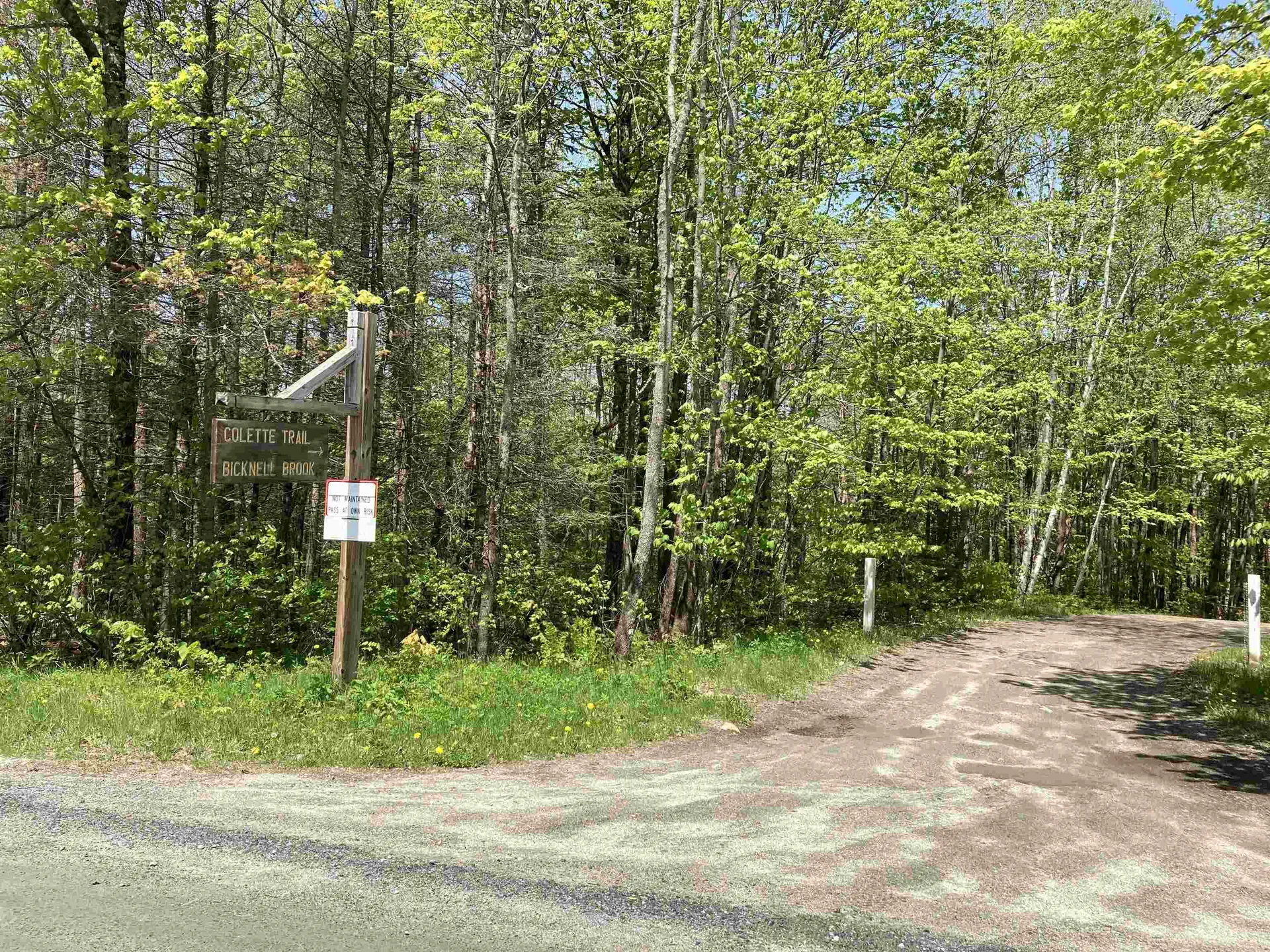 Lot 5 Nh Route 4a Grafton NH 03240