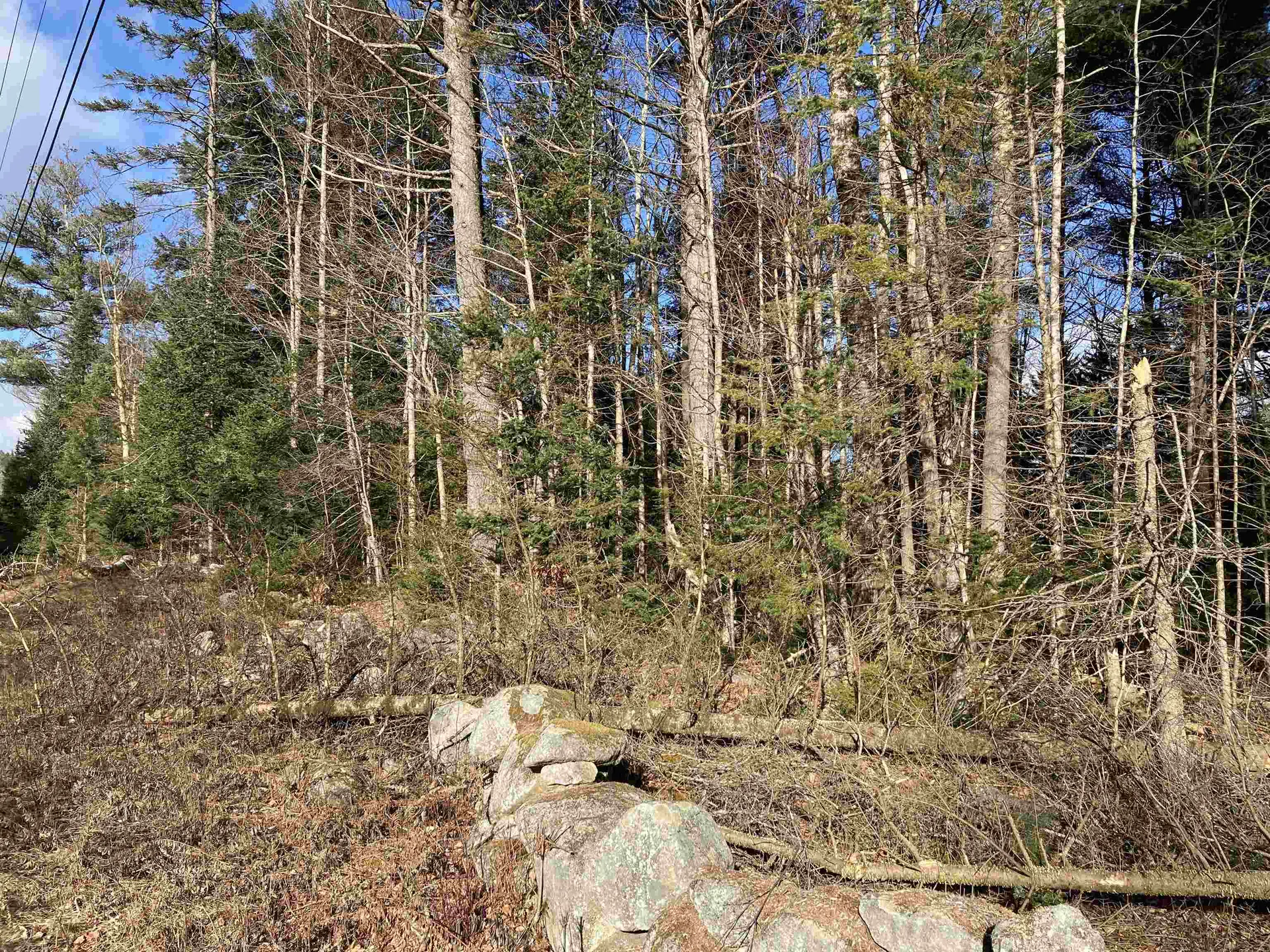 Lot 5 Nh Route 4a Grafton NH 03240