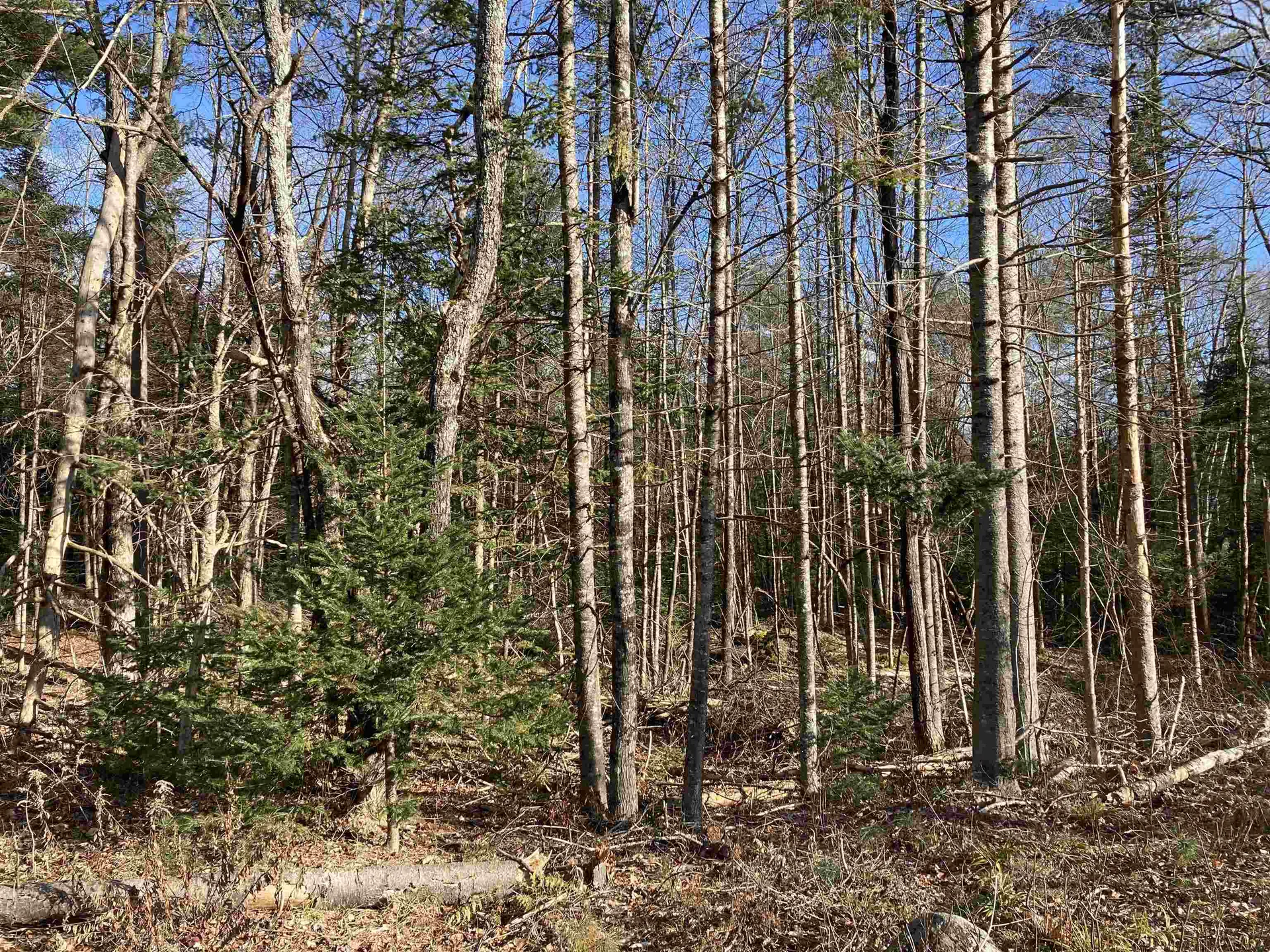 Lot 5 Nh Route 4a Grafton NH 03240