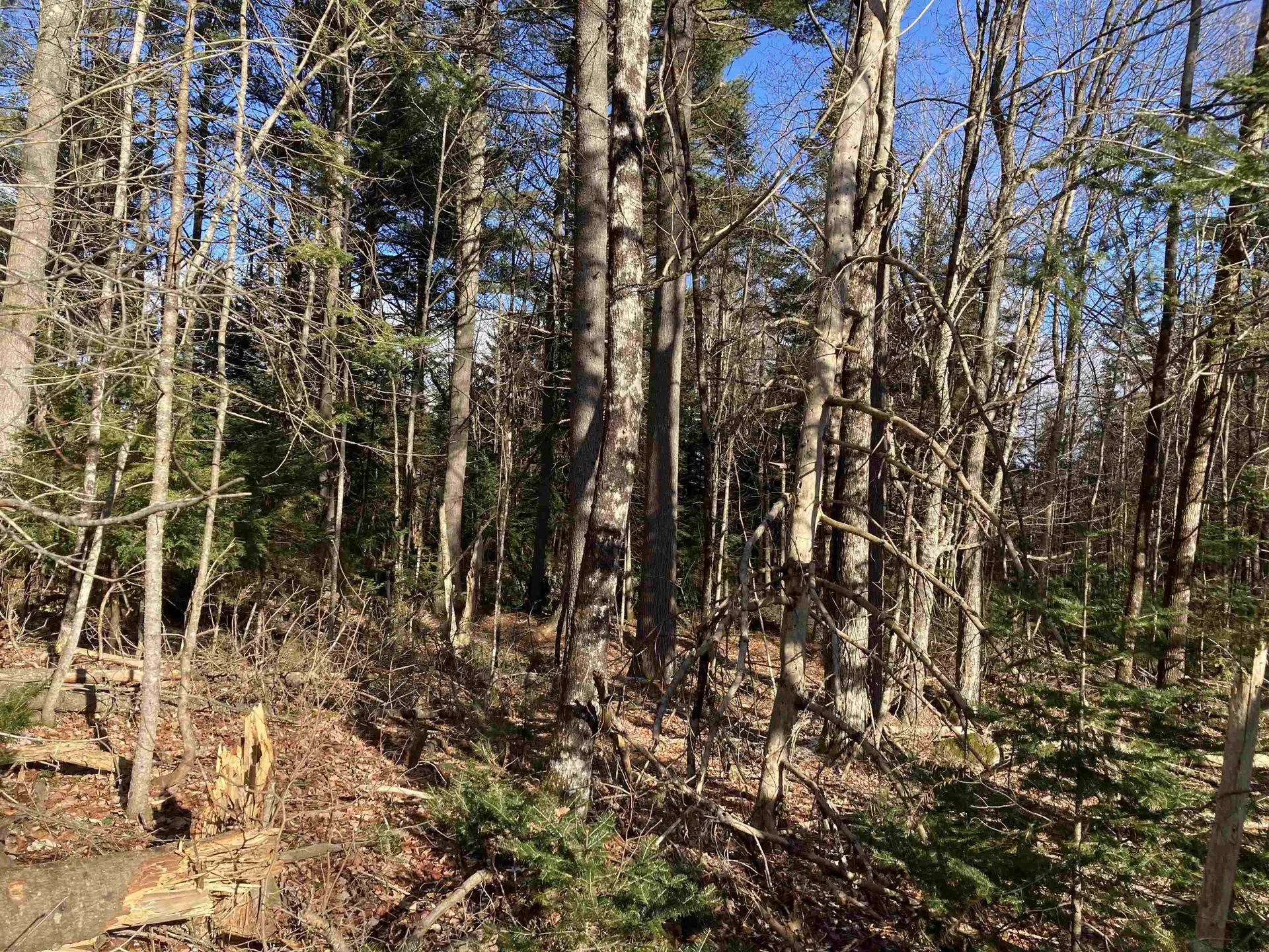 Lot 5 Nh Route 4a Grafton NH 03240