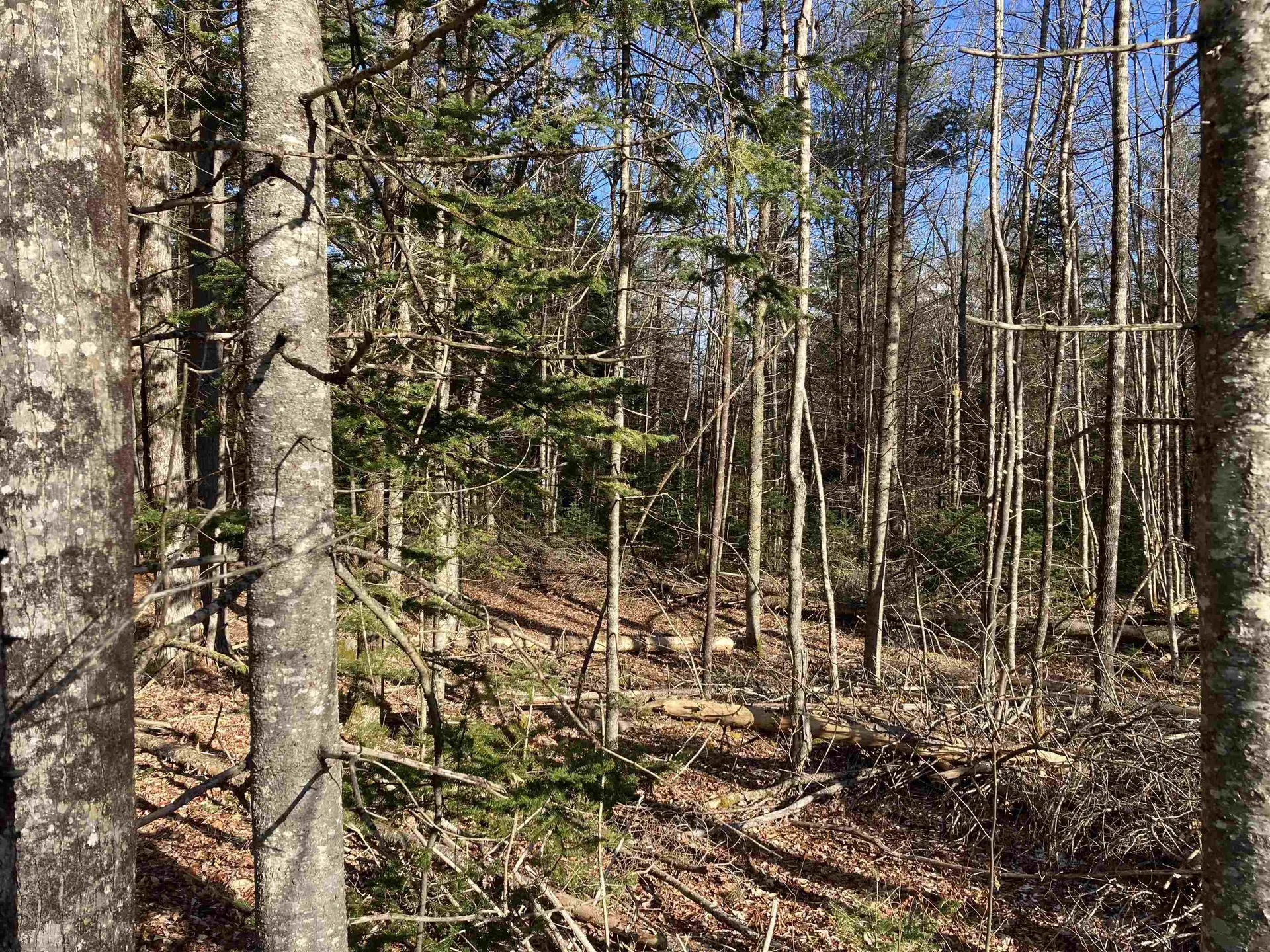 Lot 5 Nh Route 4a Grafton NH 03240