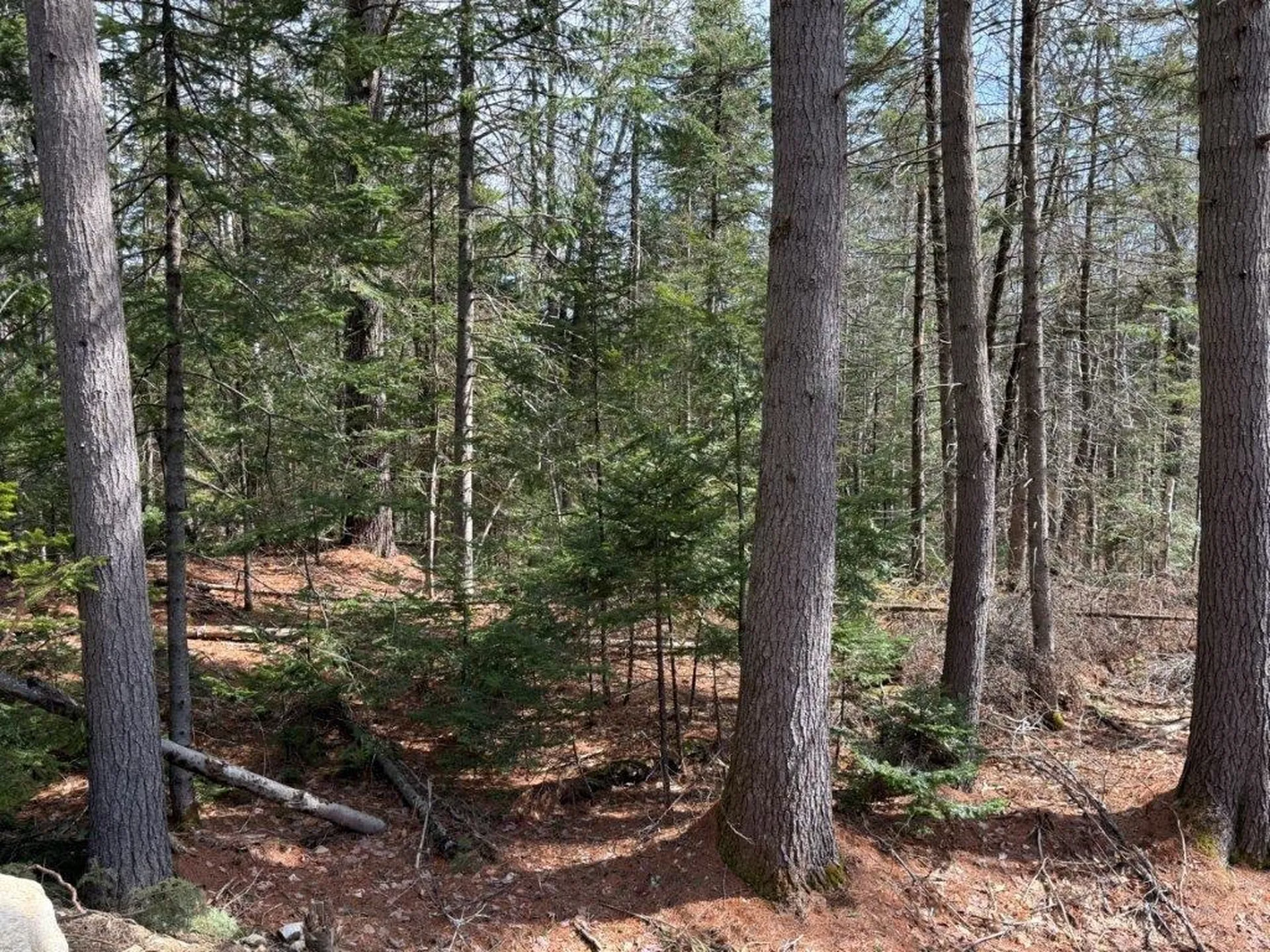 Lot 5 Nh Route 4a Grafton NH 03240