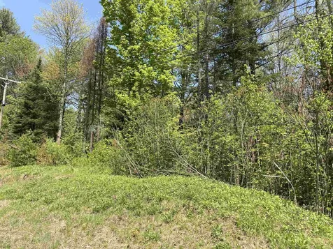 Lot 5 Nh Route 4a Grafton NH 03240