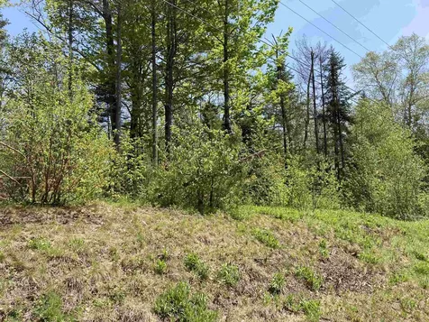 Lot 5 Nh Route 4a Grafton NH 03240