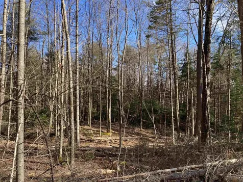 Lot 5 Nh Route 4a Grafton NH 03240