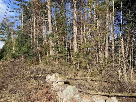 Lot 5 Nh Route 4a Grafton NH 03240