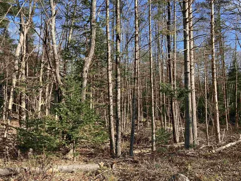 Lot 5 Nh Route 4a Grafton NH 03240