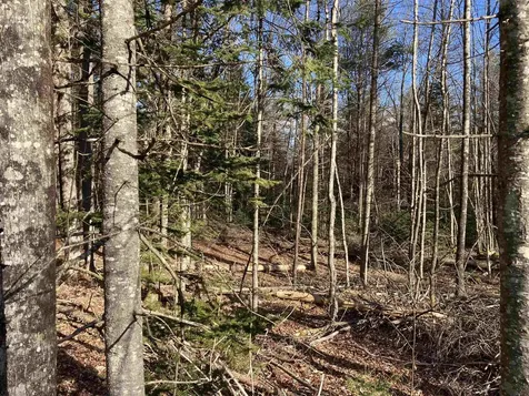 Lot 5 Nh Route 4a Grafton NH 03240