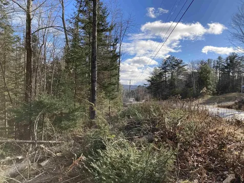 Lot 5 Nh Route 4a Grafton NH 03240