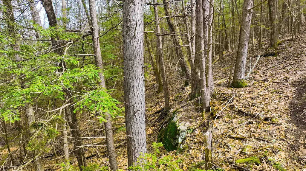 103 Wason Road Hudson NH 03051