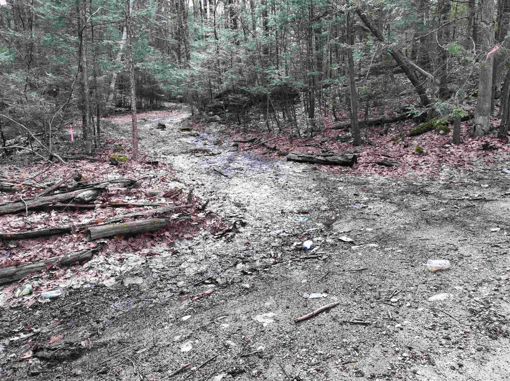 103 Wason Road Hudson NH 03051